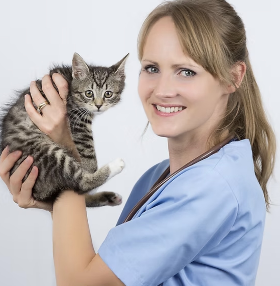 Lek. wet. Anna Gernat